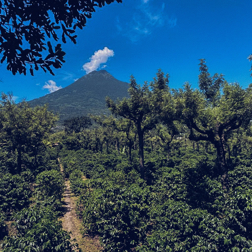 EL SALVADOR